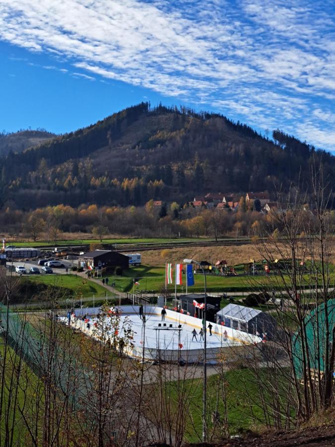 Apartament Pod Jalowcem Gory Sowie 533-543-732 Jedlina-Zdroj Exteriör bild